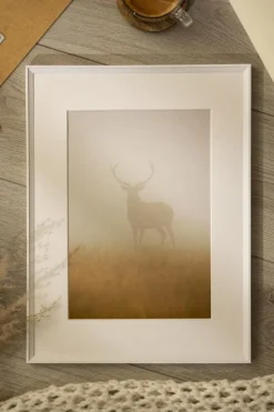 Ramme Desire Hvid 50x70 cm - Passepartout Hvid 16x24 inches