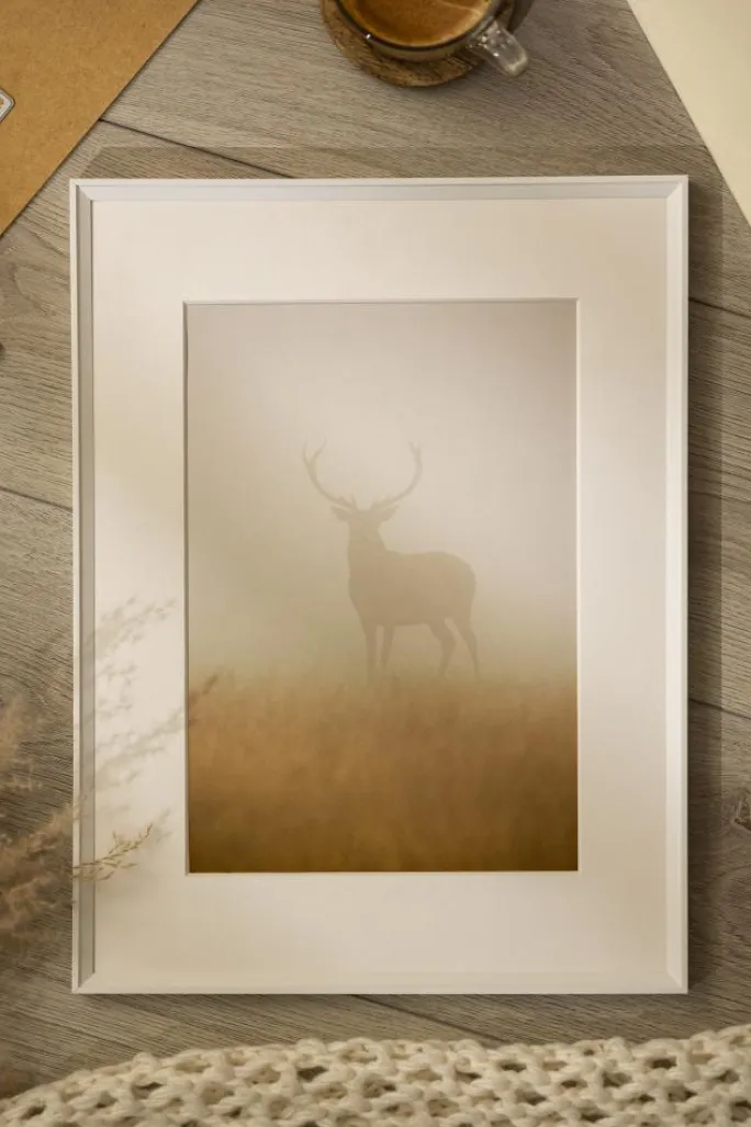 Ramme Desire Hvid 40x60 cm - Passepartout Hvid 25x50 cm