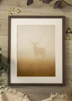 Ramme Devon Grå - Valgfri Størrelse (Akrylglas)