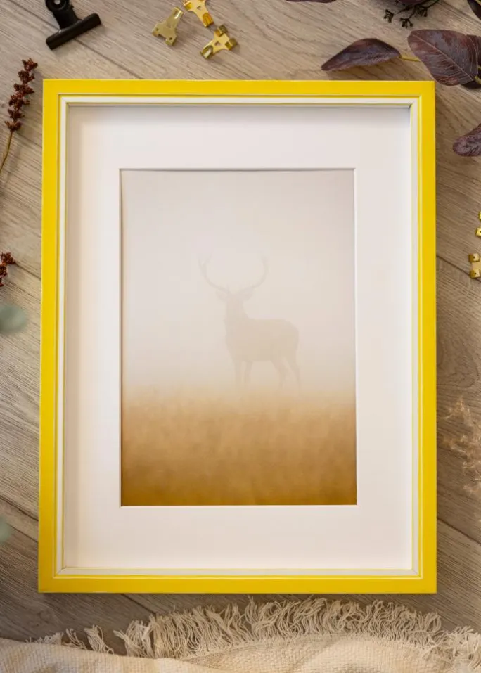 Ramme Diana Gul 50x65 cm - Passepartout Hvid 40x55 cm
