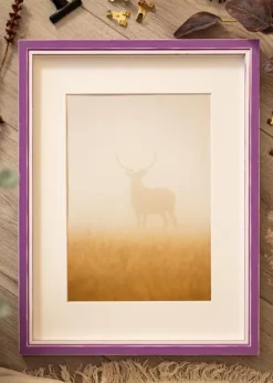 Ramme Diana Lilla 28x35 cm - Passepartout Hvid 8x10 inches