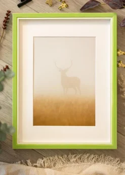 Ramme Diana lysegrøn 50x60 cm - Passepartout Hvid 16x20 inches