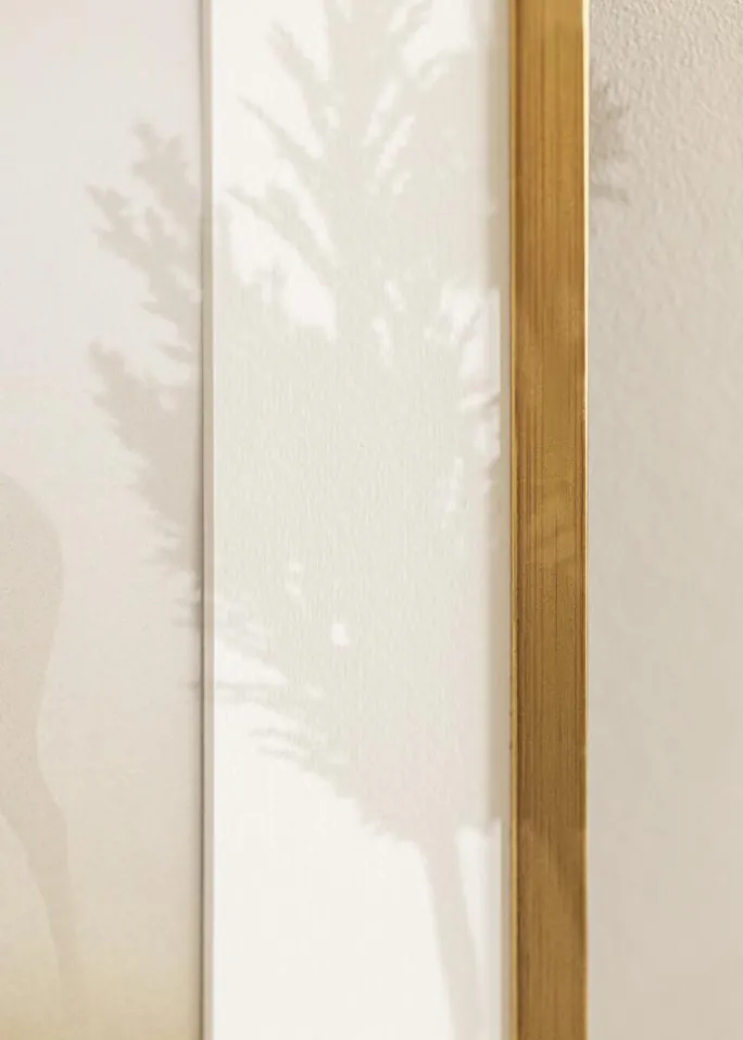 Ramme Edsbyn Akrylglas Guld 40x70 cm