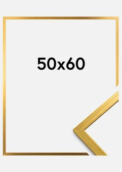 Ramme Edsbyn Akrylglas Guld 50x60 cm