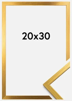 Ramme Edsbyn Akrylglas Guld 20x30 cm