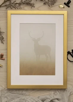 Ramme Falun Guld 70x100 cm - Passepartout Hvid 59,4x84 cm (A1)