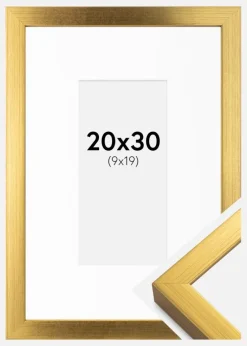 Ramme Falun Guld 20x30 cm - Passepartout Hvid 10x20 cm