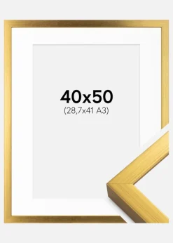 Ramme Falun Guld 40x50 cm - Passepartout Hvid 29,7x42 cm (A3)