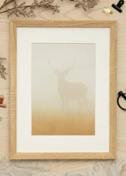 Ramme Fiorito Lys Eg 50x60 cm - Passepartout Hvid 16x20 inches