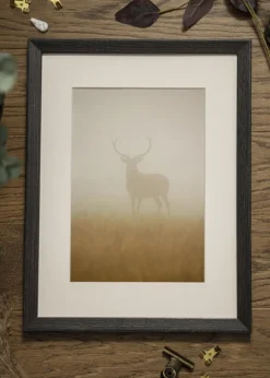 Ramme Fiorito Mørkegrå 40x60 cm - Passepartout Hvid 32,9x48,3 cm (A3+)