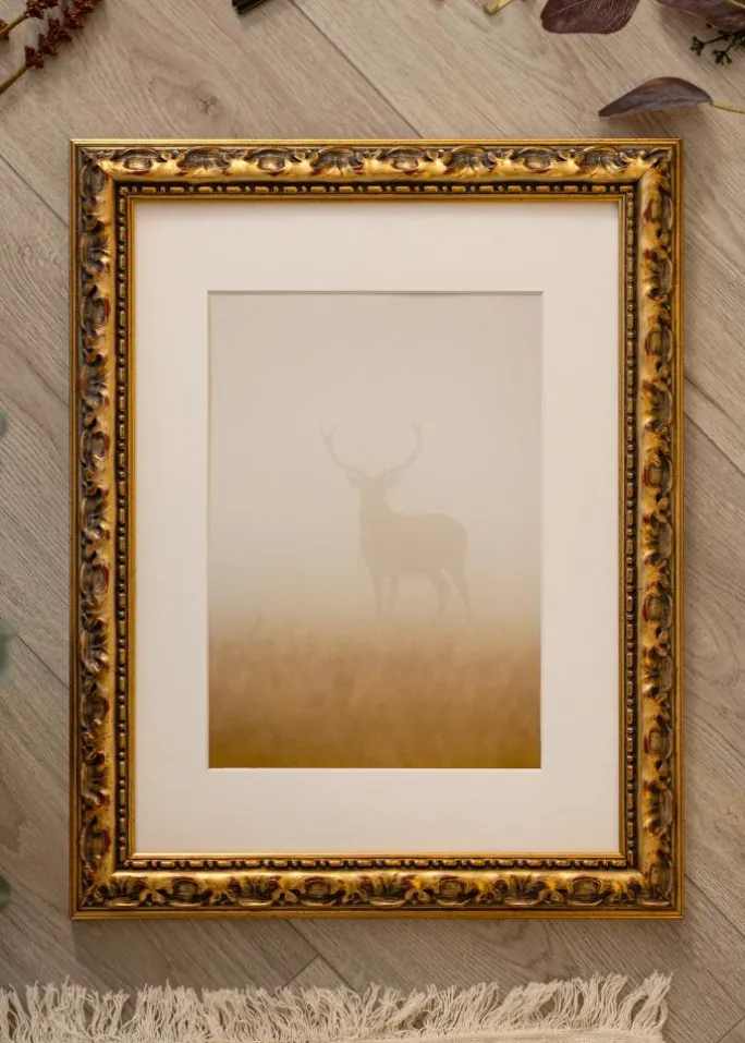 Ramme Freyja Guld - Valgfri Størrelse (Akrylglas)