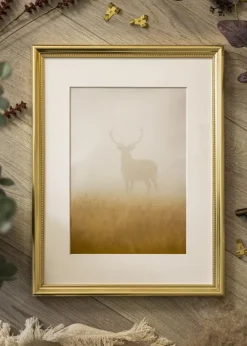 Ramme Gala Guld 50x70 cm - Passepartout Hvid 42x59,4 cm (A2)