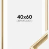 Ramme Gala Guld 40x60 cm - Passepartout Hvid 32,9x48,3 cm (A3+)