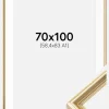 Ramme Gala Guld 70x100 cm - Passepartout Hvid 59,4x84 cm (A1)