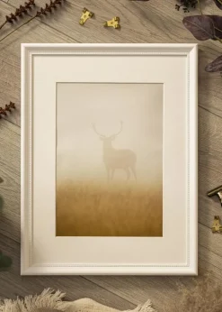 Ramme Gala Hvid 40x50 cm - Passepartout Hvid 28x38 cm