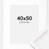 Ramme Gala Hvid 40x50 cm - Passepartout Hvid 27,5x37 cm