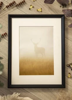 Ramme Gala Sort 70x100 cm - Passepartout Hvid 24x36 inches