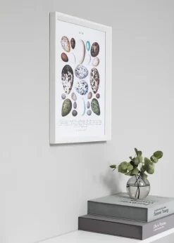 Ramme Globe Hvid 70x70 cm - Passepartout Hvid 60x60 cm