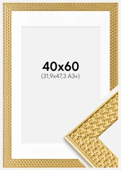 Ramme Grace Guld 40x60 cm - Passepartout Hvid 32,9x48,3 cm (A3+)