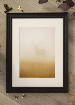 Ramme Heby Sort - Valgfri Størrelse (Plexiglas)