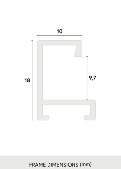 Ramme Helsingfors Champagne - Valgfri Størrelse (Plexiglas)
