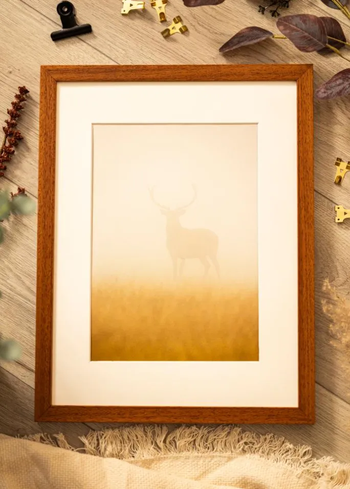 Ramme Hermes Bog 40x50 cm - Passepartout Hvid 30x41 cm