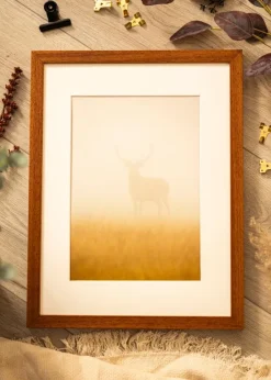 Ramme Hermes Bog 40x60 cm - Passepartout Hvid 32,9x48,3 cm