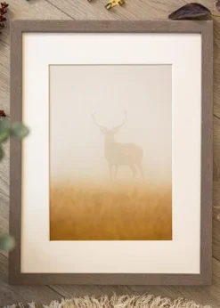 Ramme Hermes Grå 60x80 cm - Passepartout Hvid 49,3x68,5 cm