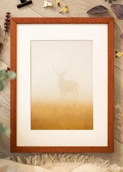 Ramme Hermes Kirsebær 50x70 cm - Passepartout Hvid 42x59,4 cm