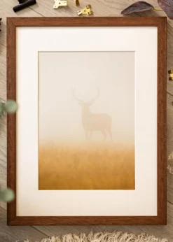 Ramme Hermes Teak 60x70 cm - Passepartout Hvid 50x61 cm