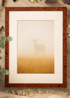 Ramme Hermes valnød 40x40 cm - Passepartout Hvid 10x10 inches