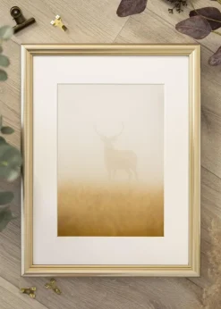 Ramme Högbo Sølv - Valgfri Størrelse (Plexiglas)