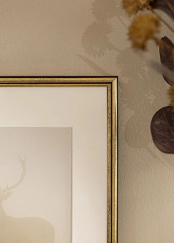 Ramme Horndal Akrylglas Guld 15x20 cm