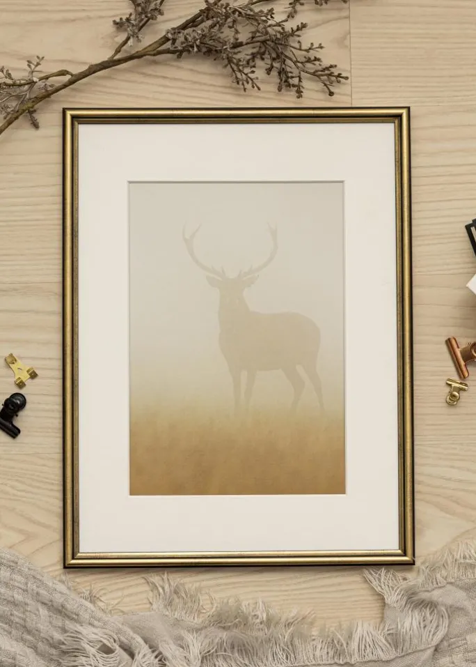 Ramme Horndal Akrylglas Guld 10x15 cm