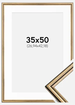 Ramme Horndal Guld 35x50 cm - Passepartout Hvid 11x17 inches