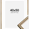 Ramme Horndal Guld 40x50 cm - Passepartout Hvid 29,7x42 cm (A3)