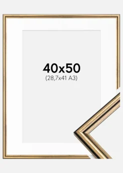 Ramme Horndal Guld 40x50 cm - Passepartout Hvid 29,7x42 cm (A3)
