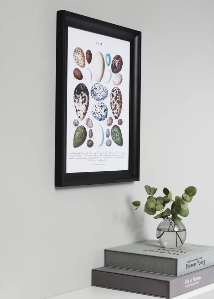 Ramme Öjaren Sort 40x60 cm - Passepartout Hvid 32,9x48,3 cm (A3+)