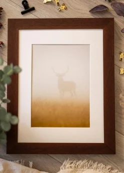 Ramme Juno Teak 45x60 cm - Passepartout Hvid 14x19 inches