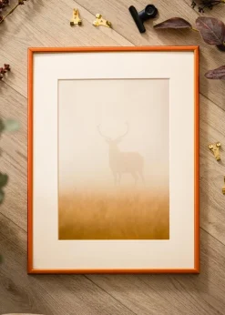 Ramme Karlholm Rav - Valgfri Størrelse (Plexiglas)