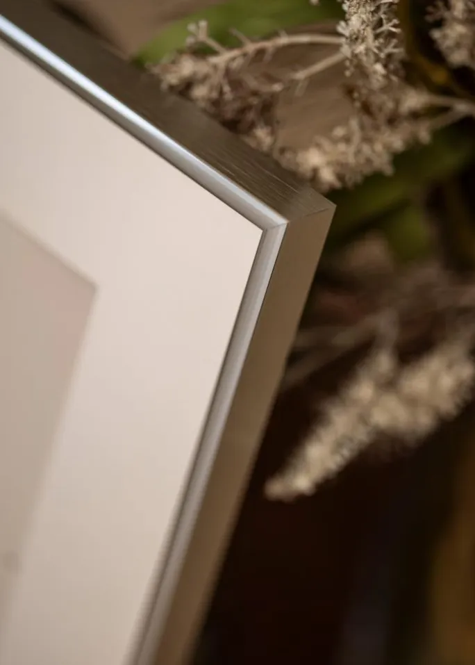 Ramme Karlholm Sølv - Valgfri Størrelse (Plexiglas)