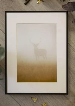 Ramme København Sort - Valgfri Størrelse (Plexiglas)