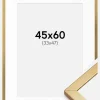 Ramme Minerva Guld 45x60 cm - Passepartout Hvid 34x48 cm