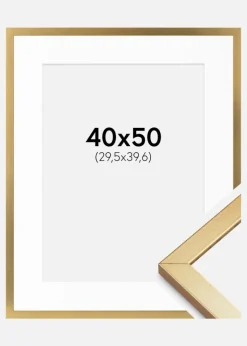 Ramme Minerva Guld 40x50 cm - Passepartout Hvid 12x16 inches