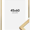 Ramme Minerva Guld 45x60 cm - Passepartout Hvid B3 353x500 mm