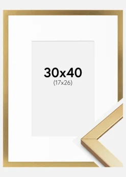 Ramme Minerva Guld 30x40 cm - Passepartout Hvid 18x27 cm