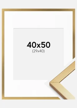 Ramme Minerva Guld 40x50 cm - Passepartout Hvid 30x41 cm