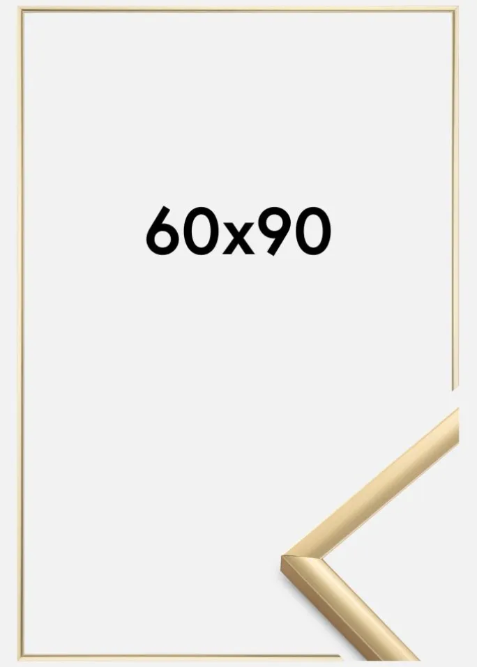 Ramme New Lifestyle Akrylglas Guld 60x90 cm