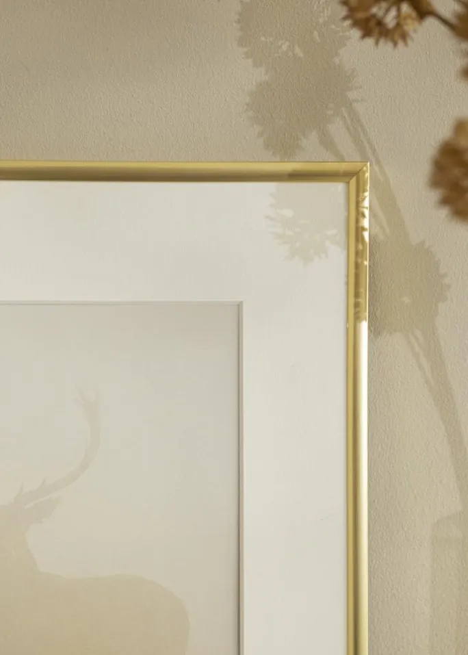 Ramme New Lifestyle Akrylglas Guld 60x90 cm