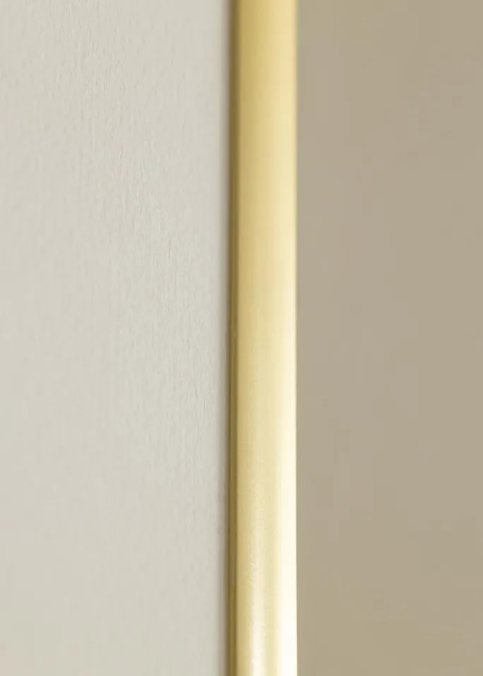 Ramme New Lifestyle Akrylglas Guld 60x90 cm